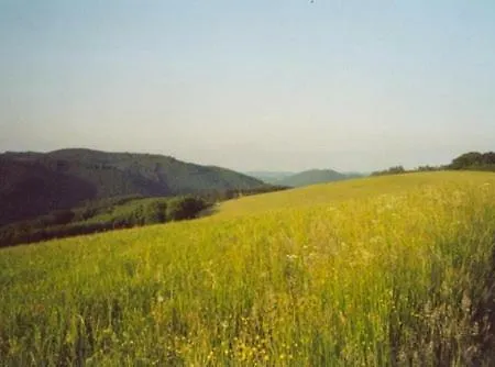 Σπίτι διακοπών Ferienhaus Eifelidyll